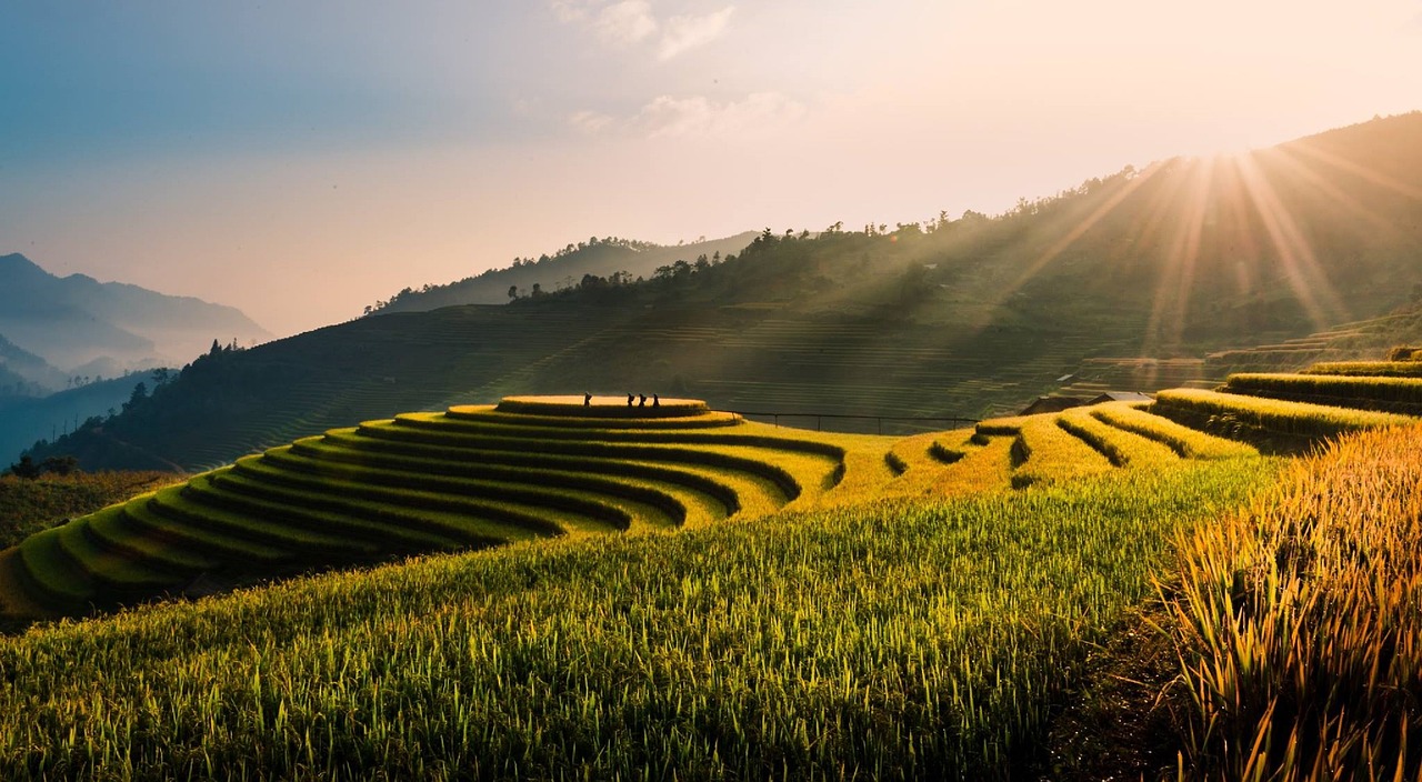 Vietnam, tu le, terraces, nature, field, rice field, rice, terrace, travel, natural, green, outdoors, terrace rice field, landscape, peaceful, season, sunset, environment, countryside, hills, sunny
