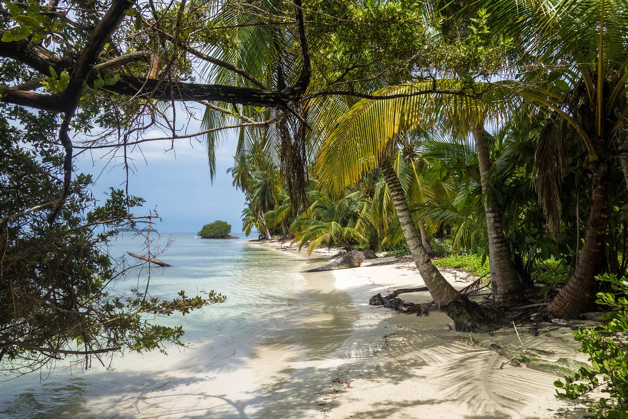 Beach, san blas islands, nature, panama, island, paradise, sea, caribbean, water, sand, jungle, archipelago, vacation