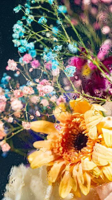 Close-up of a colorful floral arrangement with water droplets, showcasing nature's beauty.