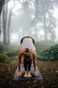 Downward Dog: alignment, modifications and common mistakes