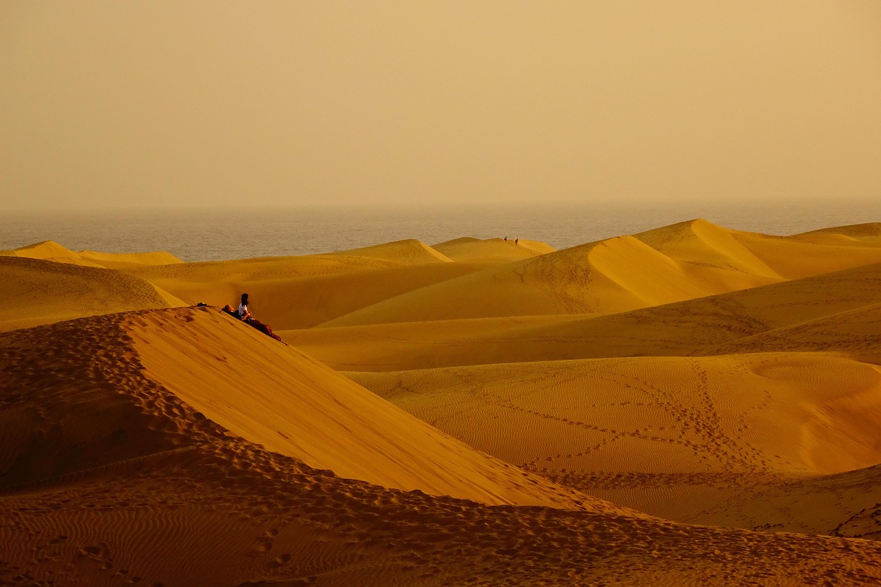 Desert, sand dunes, sunset, landscape, nature, dusk