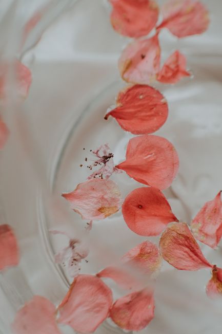 Close-up of pink petals gracefully floating in clear water, creating a serene and artistic composition.