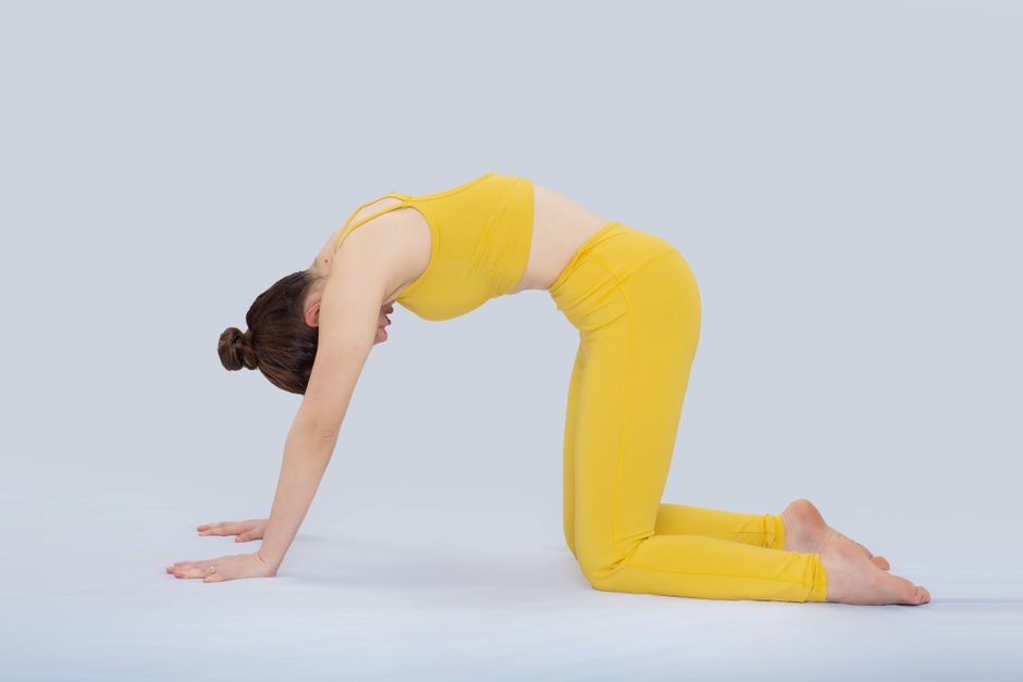 Cat-Cow yoga pose
