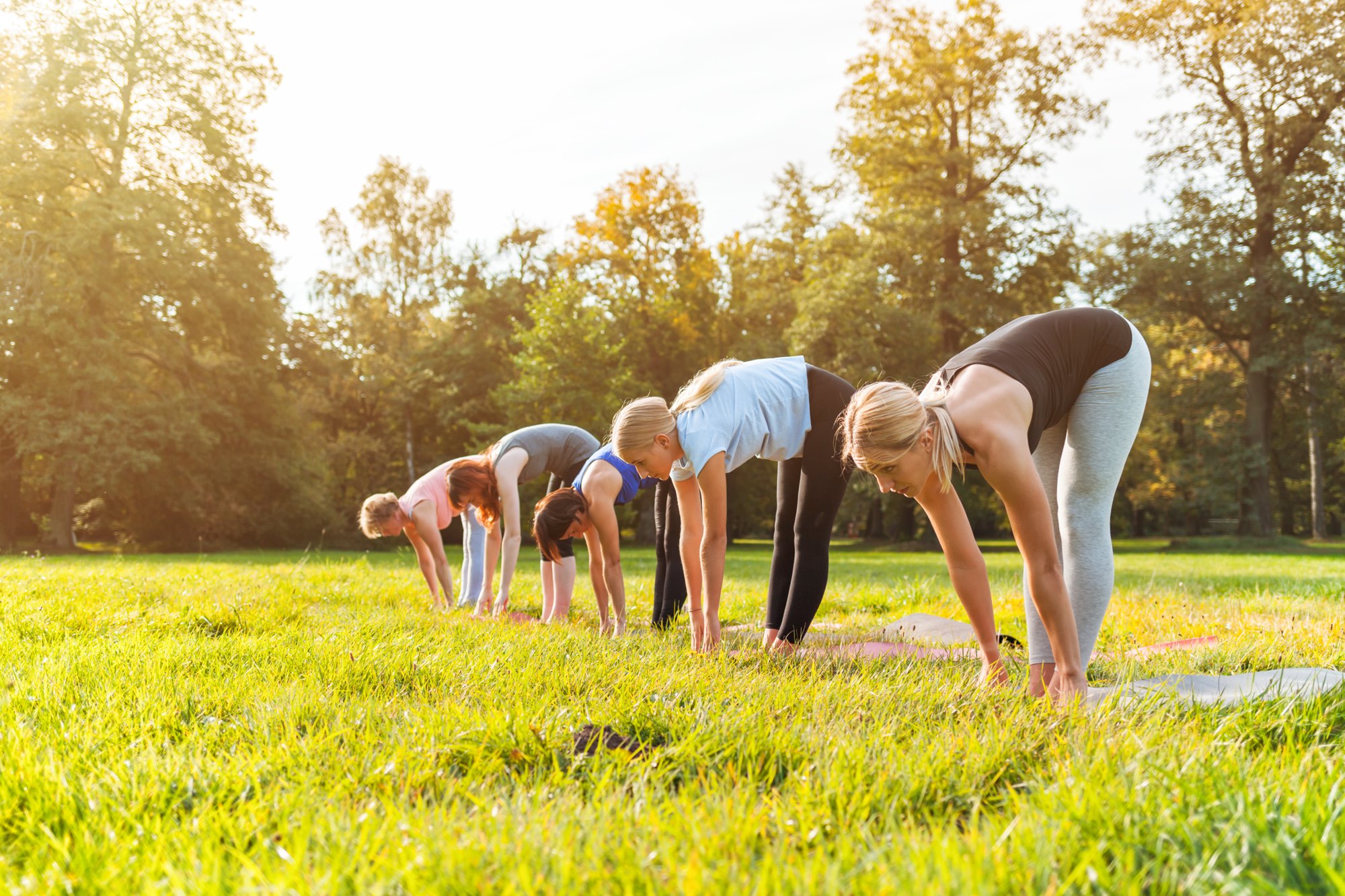 Group of all ages in a forward fold on a sunny lawn