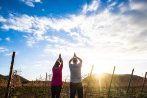 Traditional 12-Position Sun Salutation: the Sivananda order and the Bihar version