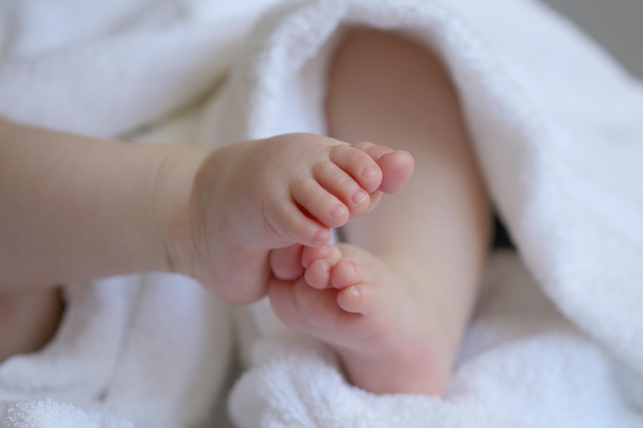 Baby, child, grandchild, feet, baby feet, infant, children's feet, toes, cute, baby, baby, baby, baby, baby