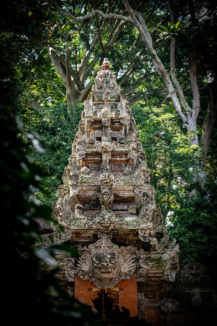 Yoga in Bali: Ubud, the Coast and How to Choose