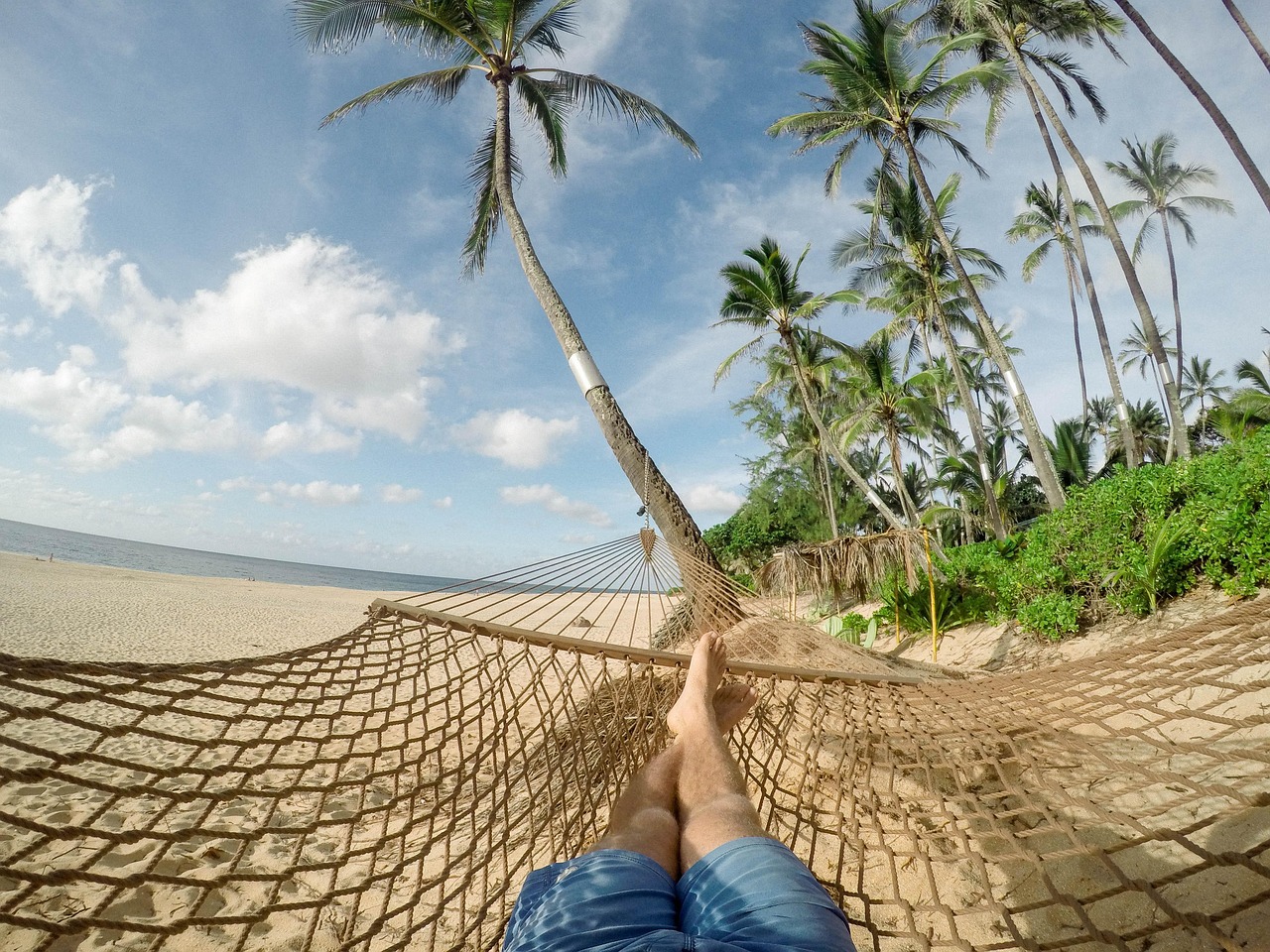 Beach, hammock, blue sky, clouds, palm trees, rest, relaxation, holiday, vacation, tropical island, coconut trees, island, leisure, palm, recreation, resort, sand, nature, sea, seashore, summer, trave