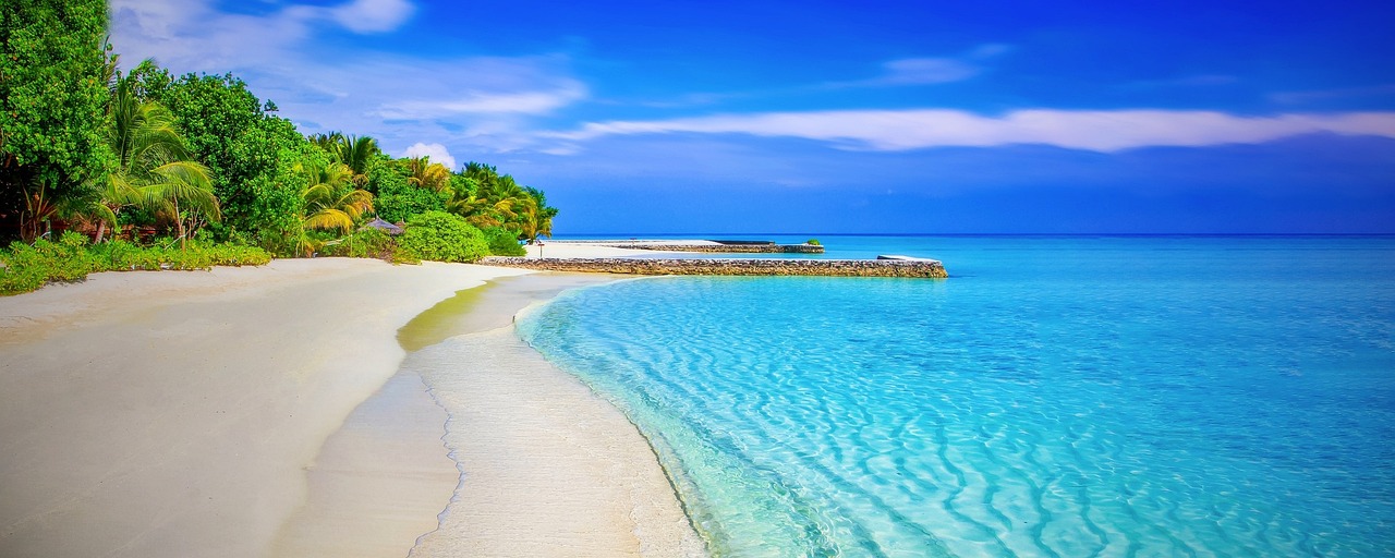 Beach, sea, panorama, panoramic, blue sea, blue ocean, horizon, nature, seascape, tropical, tropical island, shore, seashore, coast, coastline, sandy beach, paradise, palm trees, ocean, water, holiday