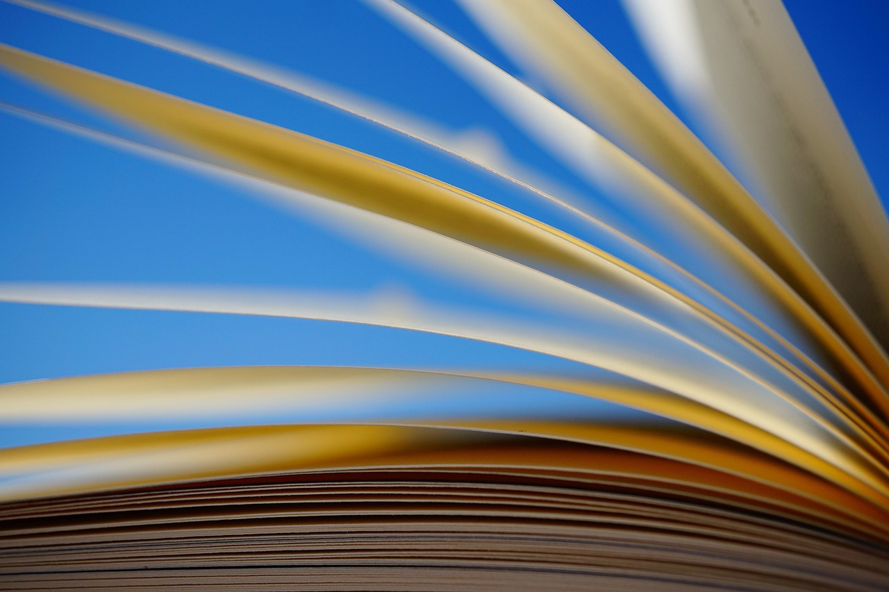 A book, pages, scroll, paper, knowledge, read, training, novel, literature, close up, read out, heaven, blue, voltage, books, letters, words, sets, clever, educated, school, story, reading competition